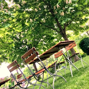 Biergartenwiese