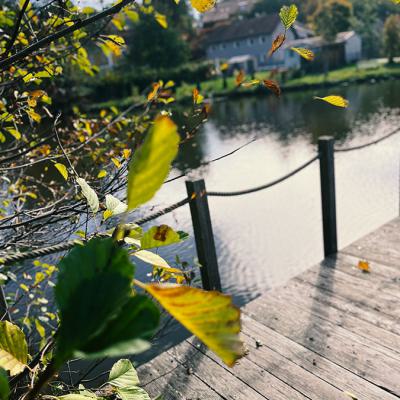 Steg in der Herbstsonne
