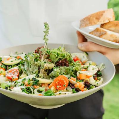 Bunter Salat mit Brot